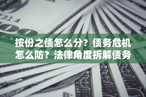 武汉按份之债怎么分？债务危机怎么防？法律角度拆解债务分配与风险自保指南