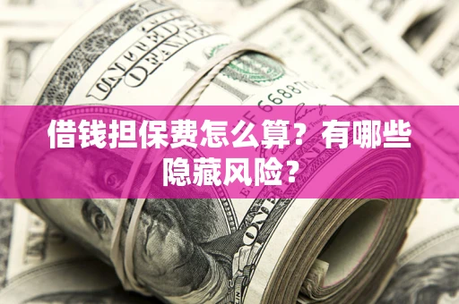 武汉借钱担保费怎么算？有哪些隐藏风险？