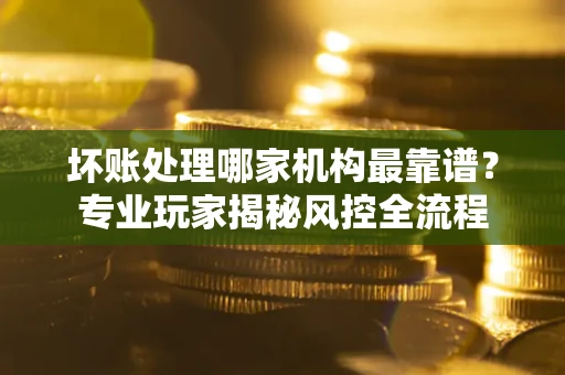 武汉坏账处理哪家机构最靠谱？专业玩家揭秘风控全流程