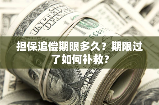 武汉担保追偿期限多久？期限过了如何补救？