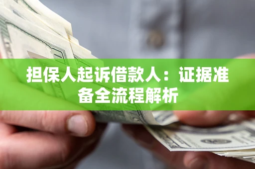 武汉担保人起诉借款人：证据准备全流程解析