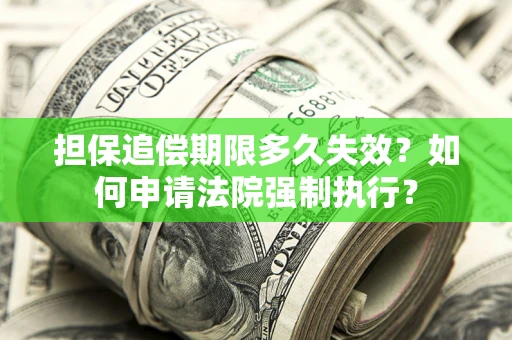 武汉担保追偿期限多久失效？如何申请法院强制执行？