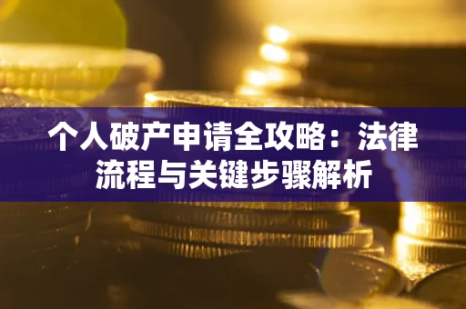 武汉个人破产申请全攻略：法律流程与关键步骤解析