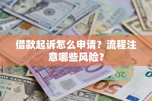 武汉借款起诉怎么申请？流程注意哪些风险？