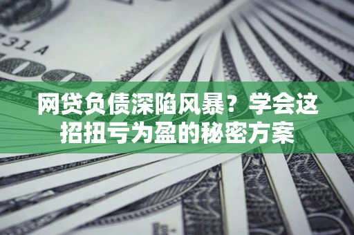 武汉网贷负债深陷风暴？学会这招扭亏为盈的秘密方案